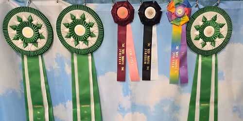 June Obedience and Rally Trials