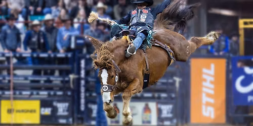 Pro Rodeo