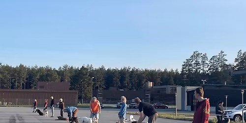 HringHund - Passeringstreff \ud83d\udc15\ud83d\udc29\ud83d\udc15\u200d\ud83e\uddba