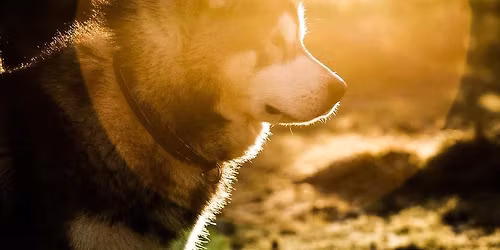 ALMA kasvattajap\u00e4iv\u00e4t 2025