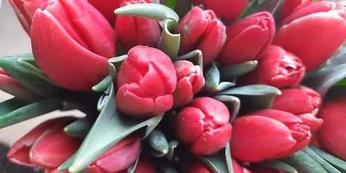 Dzie\u0144 Kobiet w Klubie Przew\u00f3z