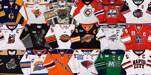 Greenville Swamp Rabbits vs. Cincinnati Cyclones