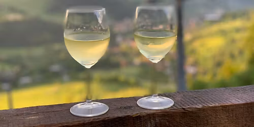 Sylwestrowe bieganie cieniaskow