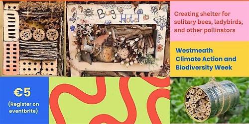 DIY Insect Hotel Workshop