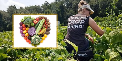 Free, Fresh Veggie\/Fruit Pop-Up Pantry