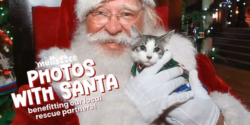 Photos with Santa benefitting Cozy Cat Cottage (German Village)