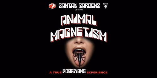 Animal Magnetism | Scorpions Tribute LIVE at SanTan Gardens