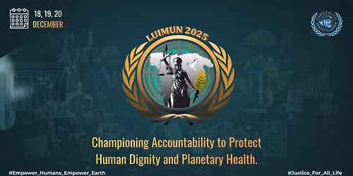 Leading University International Model United Nations 2025