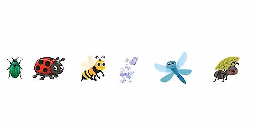 How Many Legs Does An Insect Have? - Ages 5 and up with a caregiver