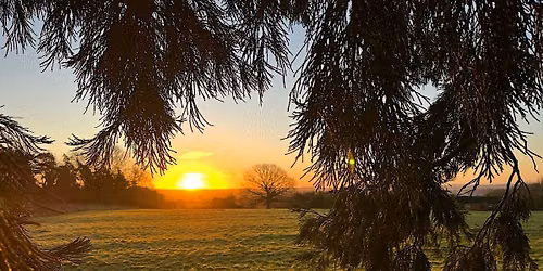 Walking into Winter: A seasonal nature connection and foraging walk