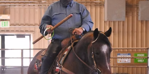 Colorado Working Equitation Schooling Show