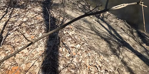 Gratitude for the Water