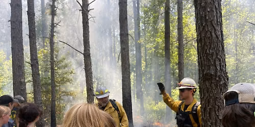 The Nature of Fire