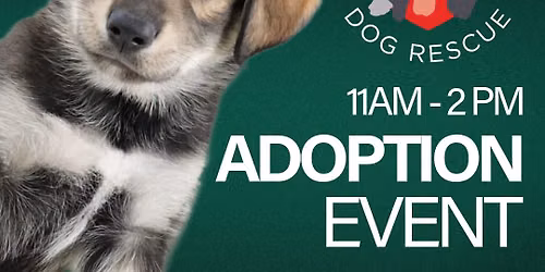 Adoption Event at Pet Evolution! \ud83d\udc9a