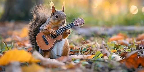 Flower City Ukulele Fall Mini Fest