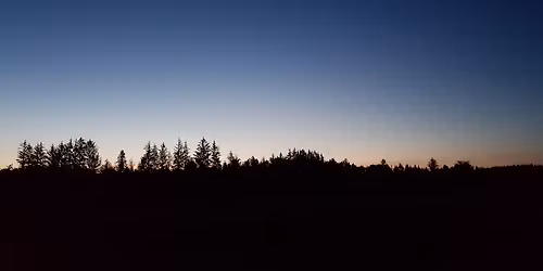 En anderledes Black Friday: Vintervandring i m\u00f8rket \ud83d\udda4