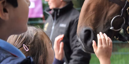 Greatwood's Family Fun Day