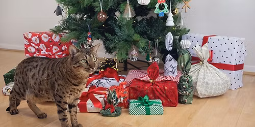 Sustainable Gift Wrapping Pop-Up Session