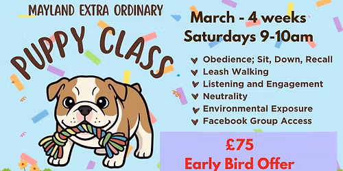 Focus & Follow-Puppy Classes