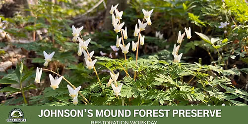 Volunteer Workday - Johnson's Mound Forest Preserve