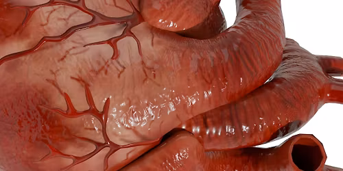 Vin & Videnskab: Hjerter og videnskab - UDSOLGT