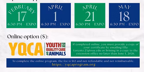 2026 Quality Assurance (Option 2)