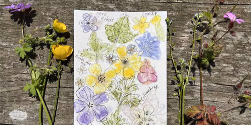 Wildflower Printing Workshop