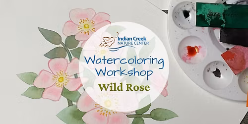 Watercoloring: Iowa\u2019s Wild Rose