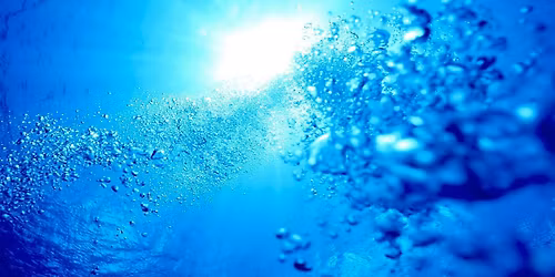 SCUBA Experience (Intro) for Veterans & Individual