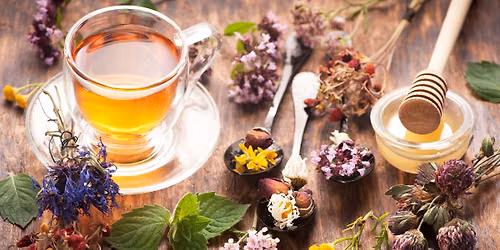 Spring Valley Nature Club- 2nd Annual (Herbal) Tea Party!!