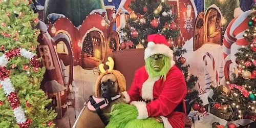 Pictures with The Grinch & Market Days