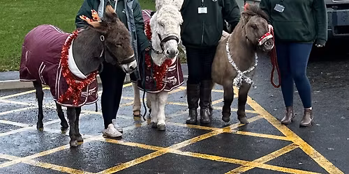 The animal pantry\u2019s Christmas event 2025