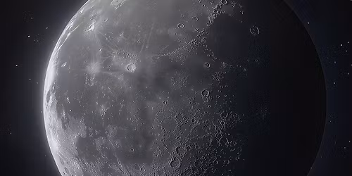 Full Moon Bog Walk