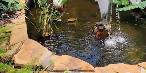 Botanical Gardens Habitat Lesson and Trail Hike
