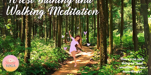 Forest Bathing and Walking Meditation