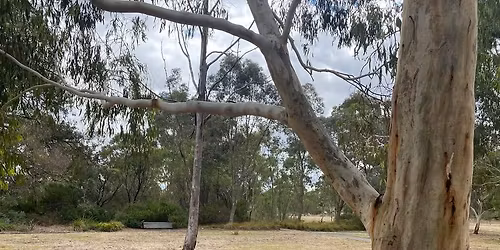 June Outdoor Sketching and Painting 