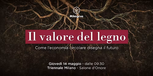 Il valore del legno - Come l'economia circolare disegna il futuro
