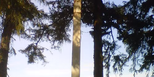 Free Fresh food giveaway