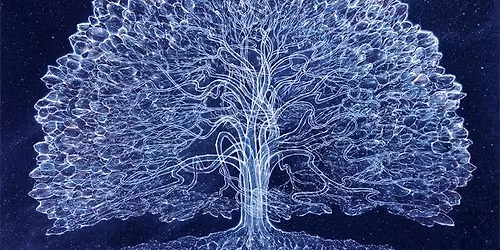 Winter Solstice Celebration 2025