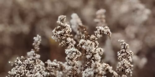 Sunday Candlelit Slow Flow [FULL]