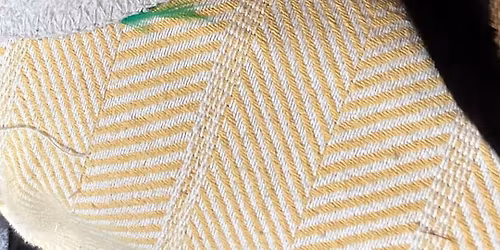 Adoption Event at Firehouse Pet Shop