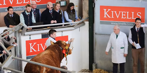 Spring Show and Sale 