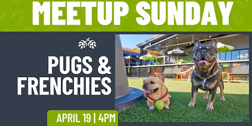 Pugs & Frenchies Meetup