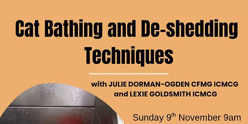 Cat Bathing and De-shedding Techniques Workshop
