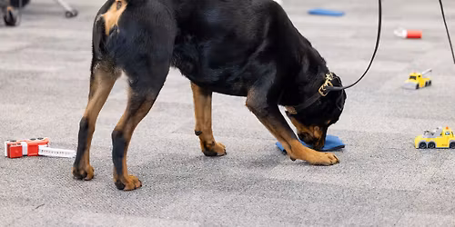 Figuring out False Alerts