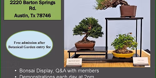 Austin Bonsai Society Annual Show