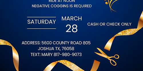 Grand Opening Little Horse Haven 