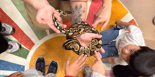 Itty Bitty Investigators: Reptiles