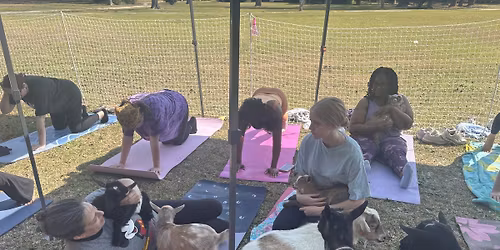 Baby Goat Yoga at Carolina Trading Post - 4\/18\/2026 @ 10:30 am
