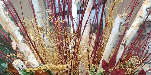 Spruce Tip Holiday Workshop